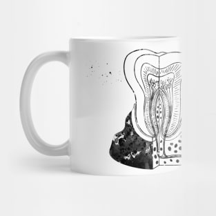 Tooth anatomy Mug